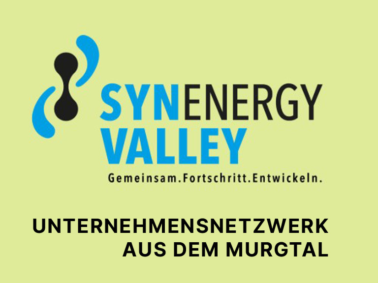Synenergy Valley - Netzwerk