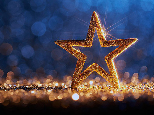 Picture of a poinsettia christmas